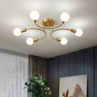 6 Lumière