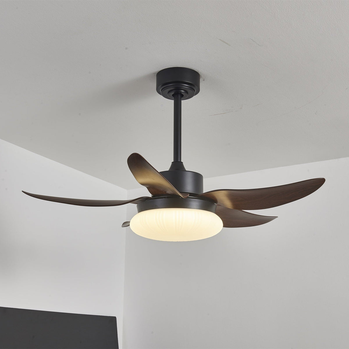 Zerith Ventilateur de Plafond Moderne en Bois avec Lumière