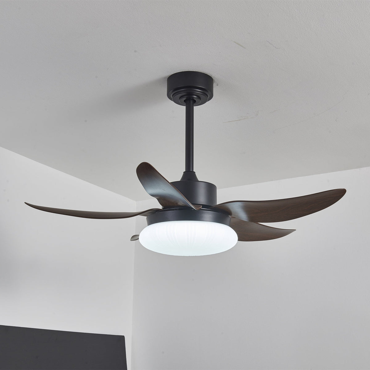 Zerith Ventilateur de Plafond Moderne en Bois avec Lumière