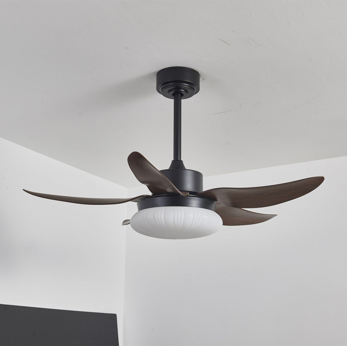 Zerith Ventilateur de Plafond Moderne en Bois avec Lumière