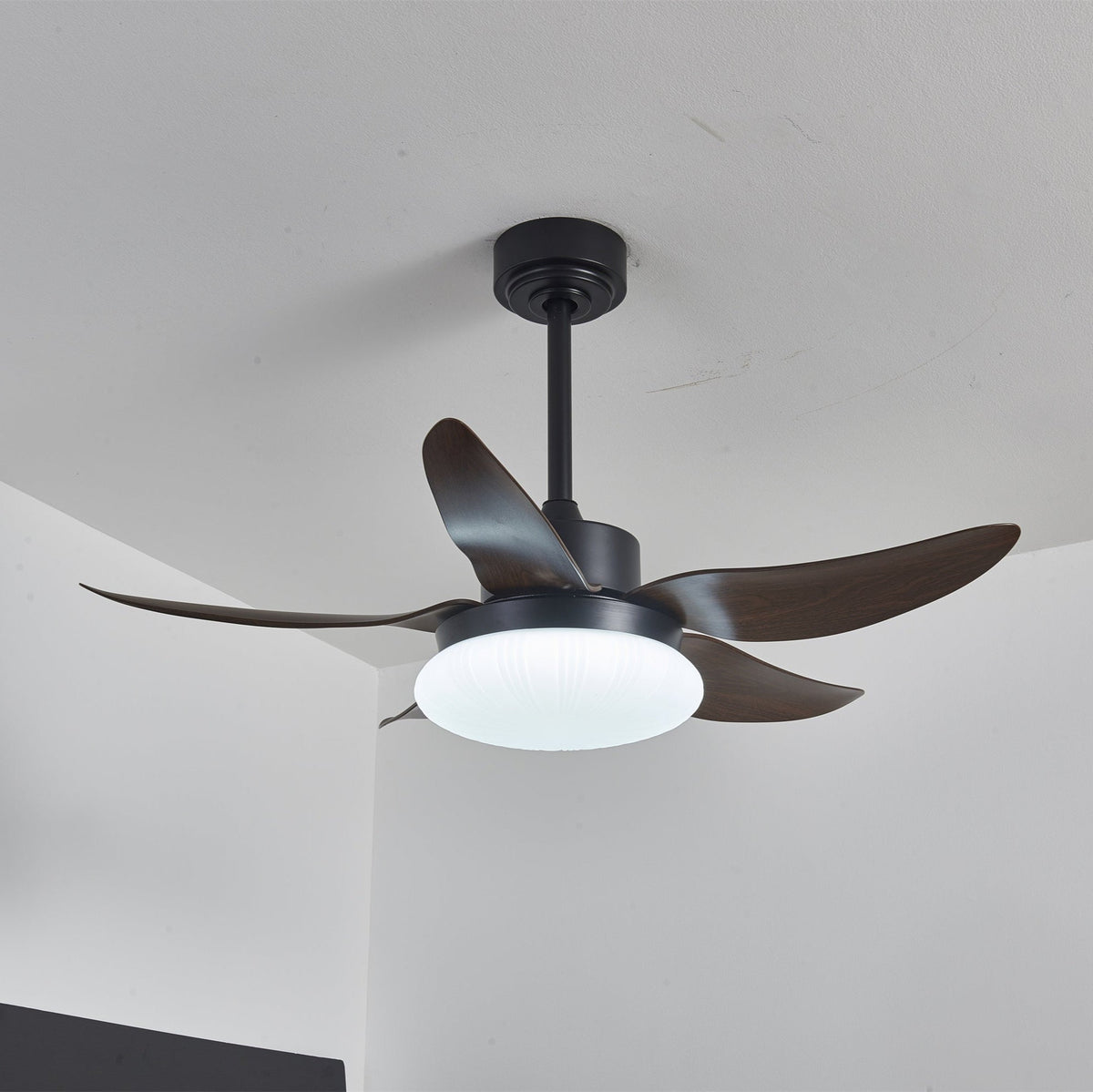 Zerith Ventilateur de Plafond Moderne en Bois avec Lumière
