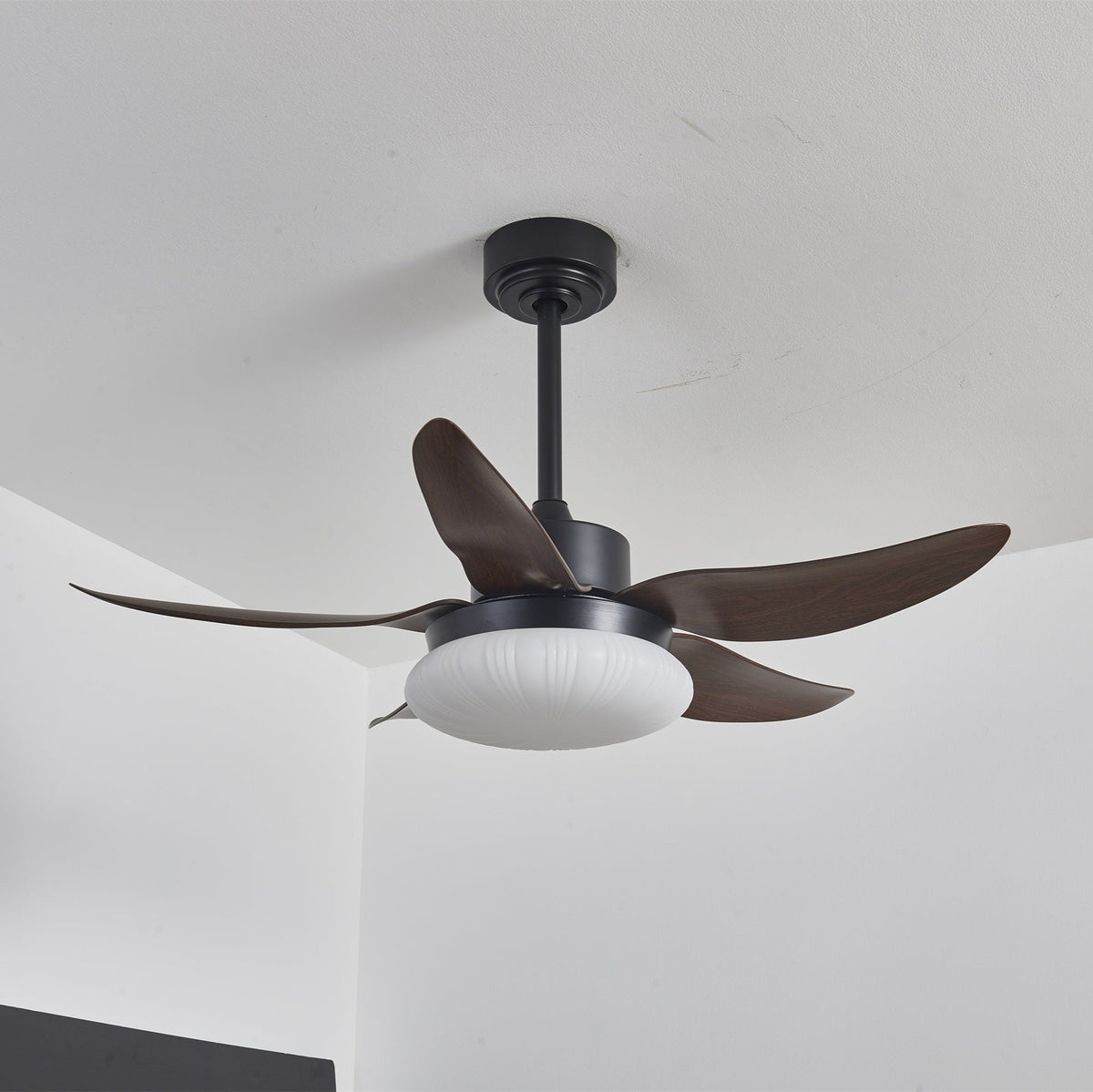 Zerith Ventilateur de Plafond Moderne en Bois avec Lumière