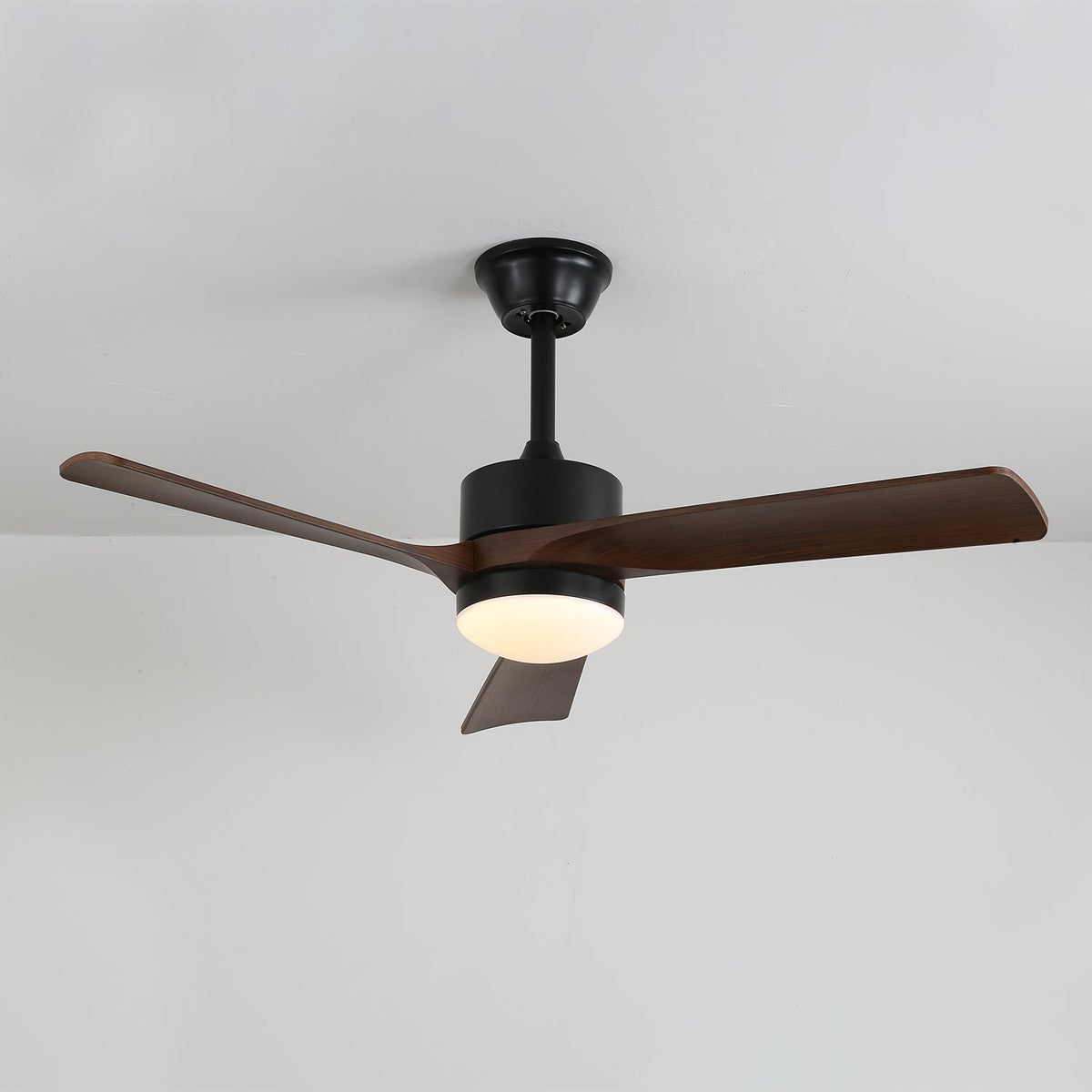 Ventilateur de plafond moderne en bois avec lumière Evraeis
