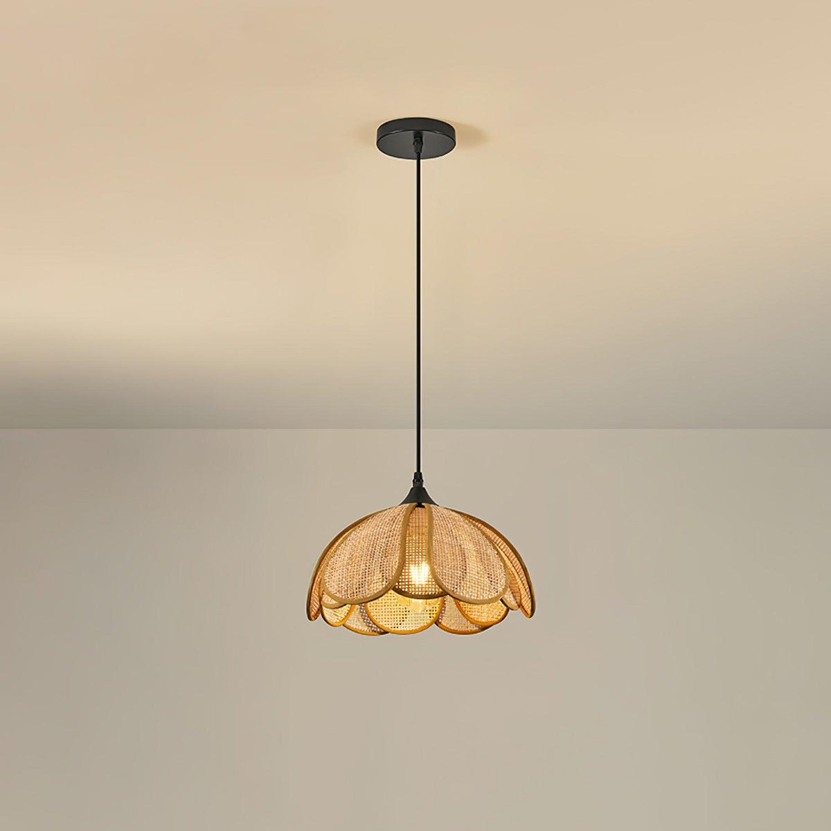 Eurvinel Élégance Floraison Rotin Tissu Suspension