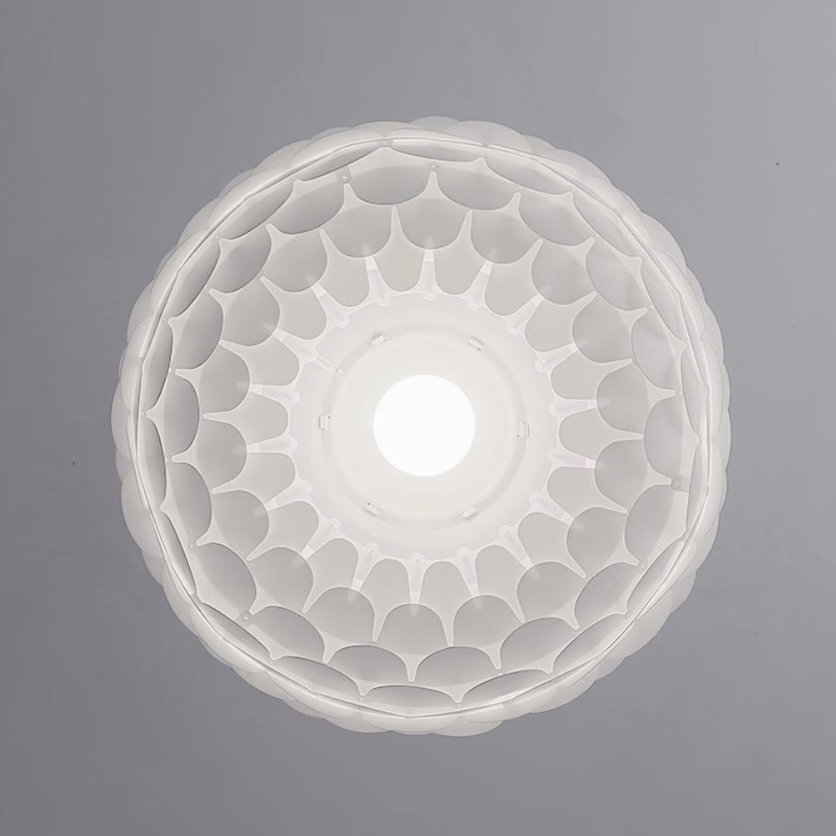 Crown Lampe Suspendue Cristal Coquille Glam