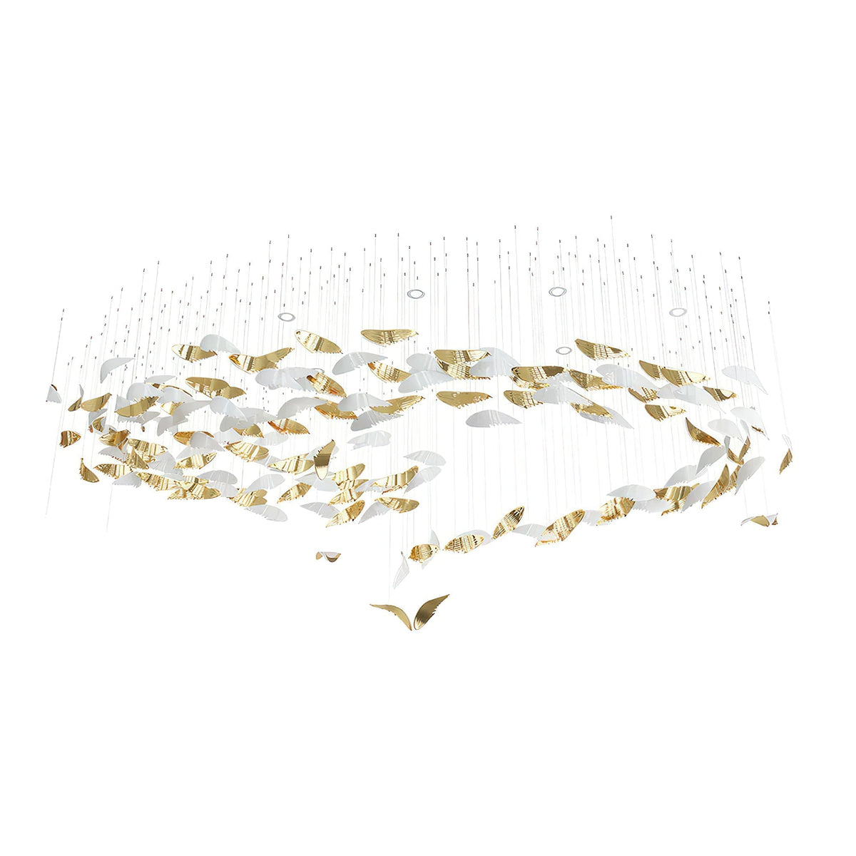 Alvenan Oiseau Vol Lustre