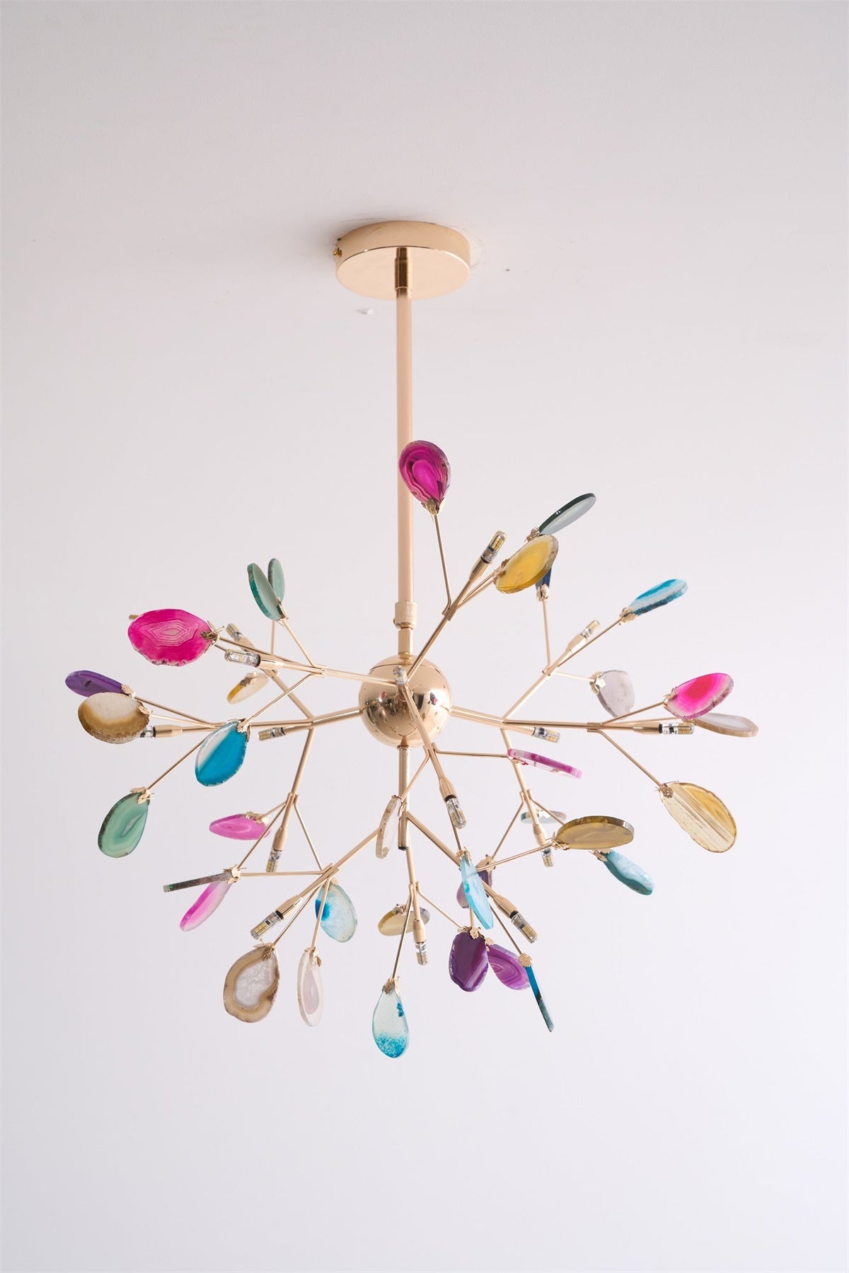 Lustra Lustre Feuille Colorée Bras Dorés
