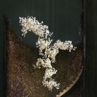 Corps doré & Feuilles blanches