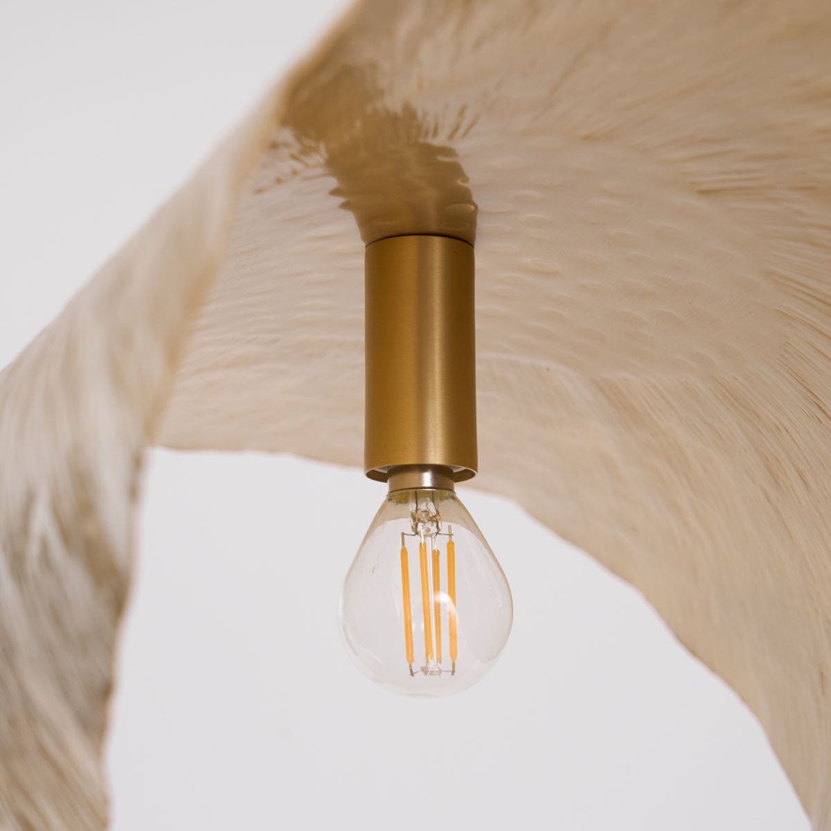 Solere Suspension Minimaliste