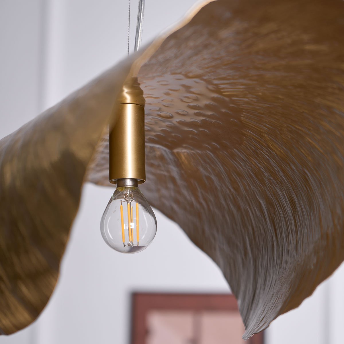 Solere Suspension Minimaliste
