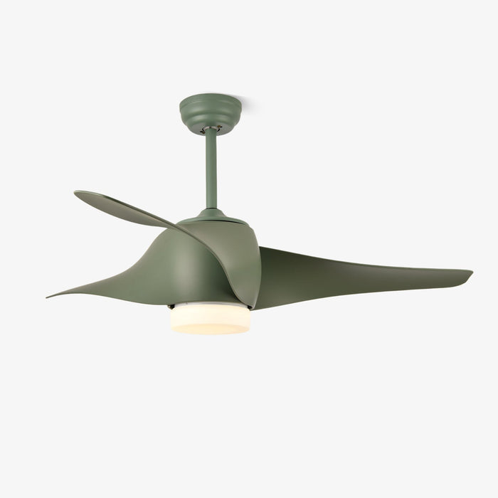 Ventilateur de plafond Umber avec lumière