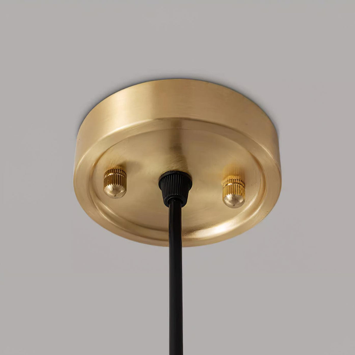 Livex Suspension en Acrylique en Forme de Corne