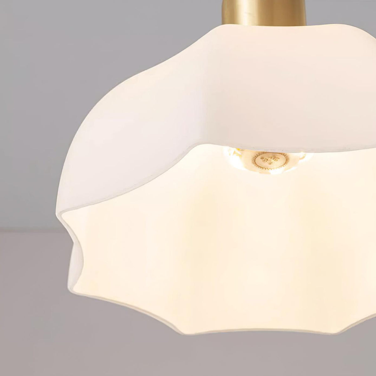 Livex Suspension en Acrylique en Forme de Corne