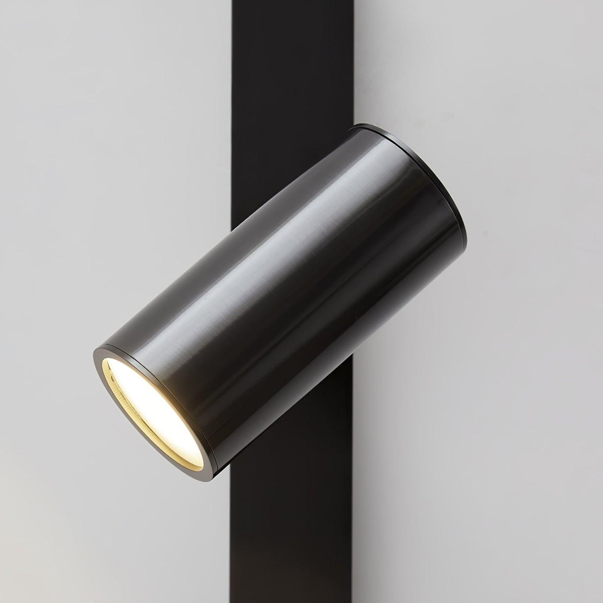 Evlaeiel Long Arm Plug-in Brass Glass Wall Light