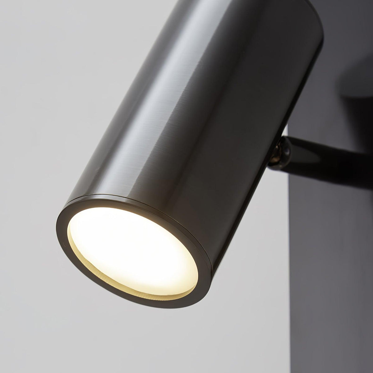 Evlaeiel Long Arm Plug-in Brass Glass Wall Light