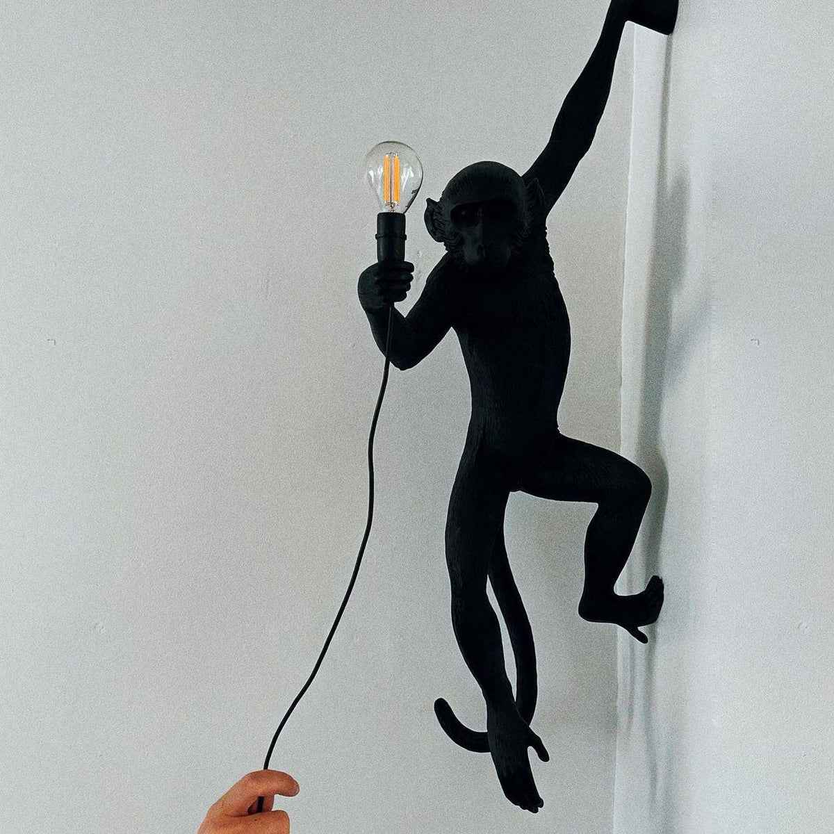 Acoustic Art Unique Singe Résine Applique Murale