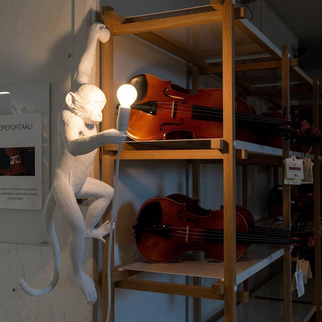 Acoustic Art Unique Singe Résine Applique Murale