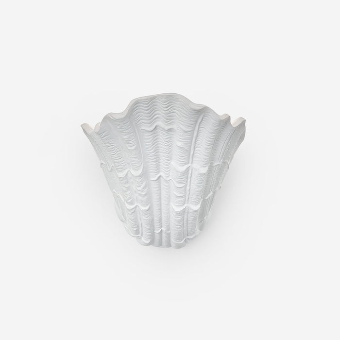 Applique Murale Coquille Plâtre Coquillage Forme Artistique