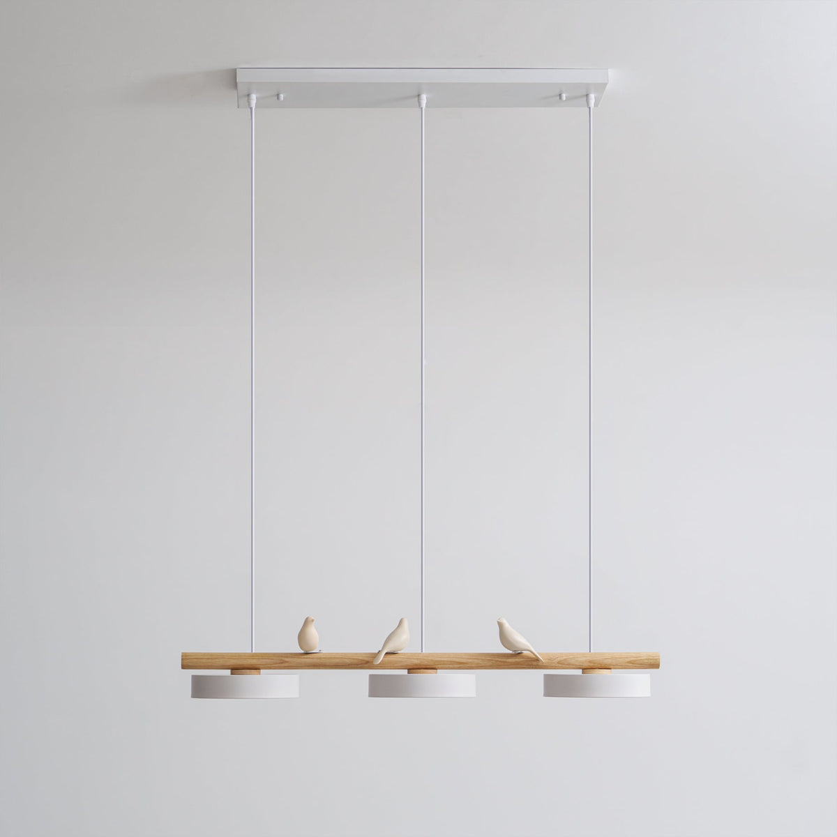 Cliff Suspension Oiseau