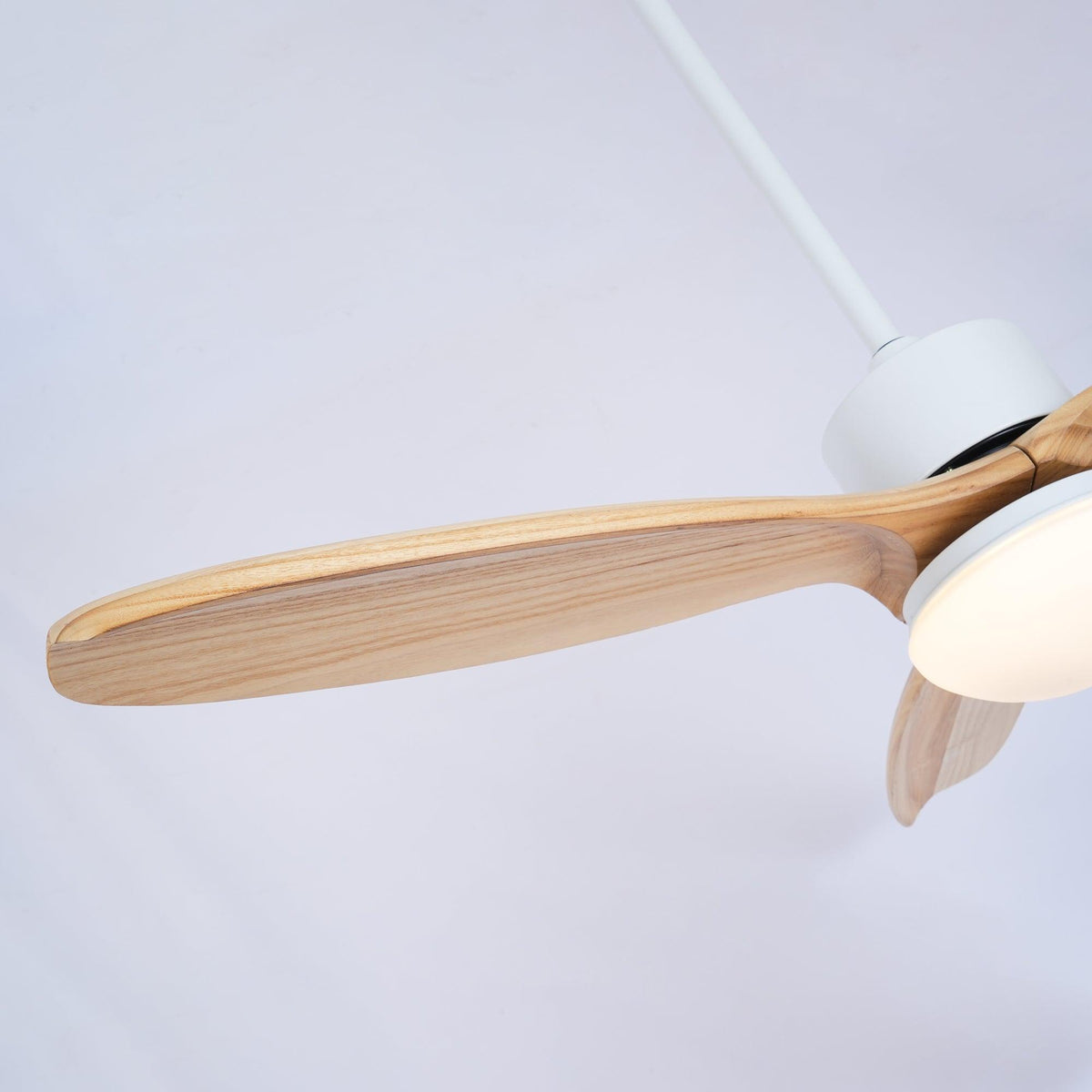 Utalis Plafonnier Ventilateur Naturel Élégant Ventilateur de plafond