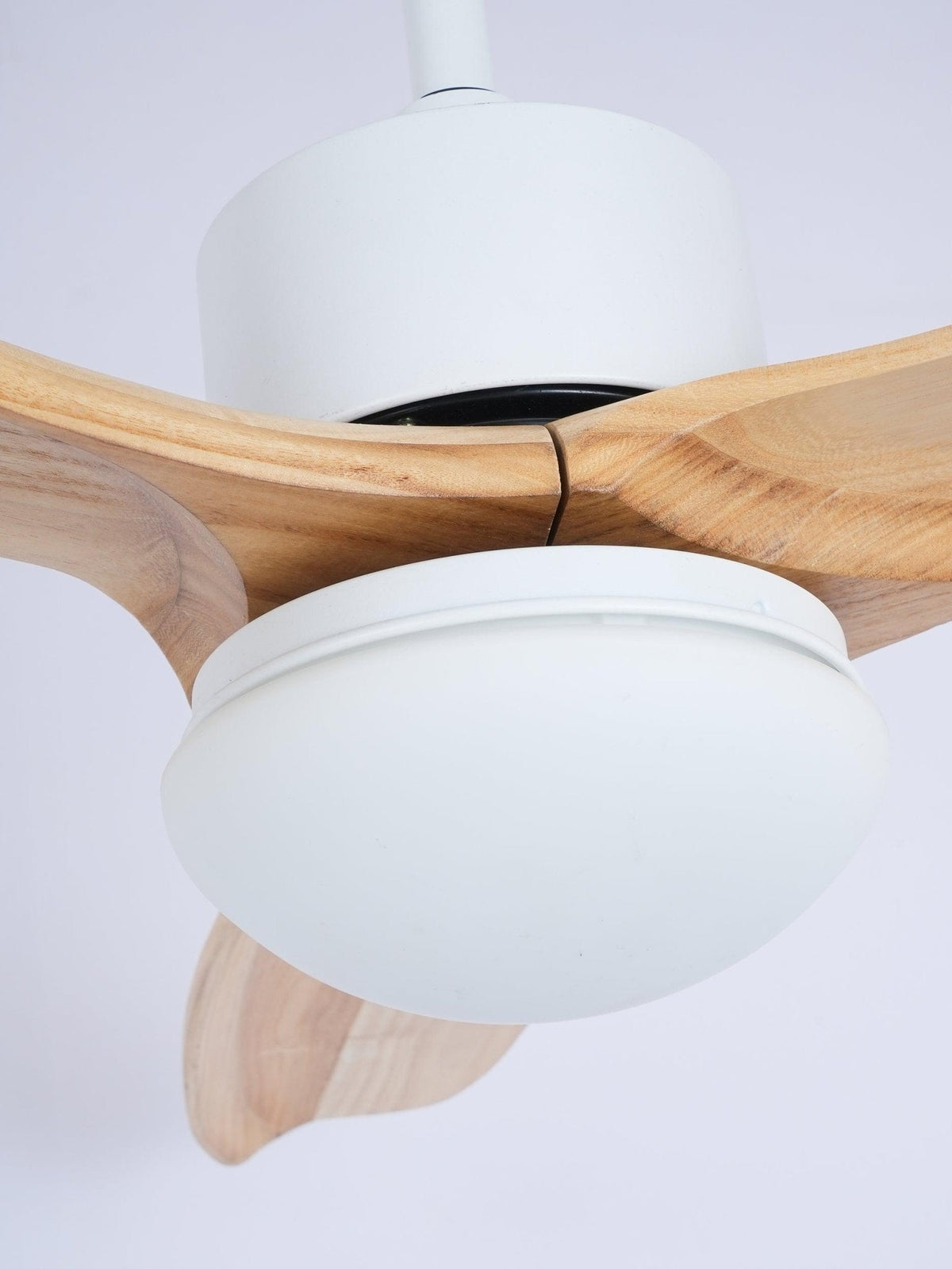 Utalis Plafonnier Ventilateur Naturel Élégant Ventilateur de plafond