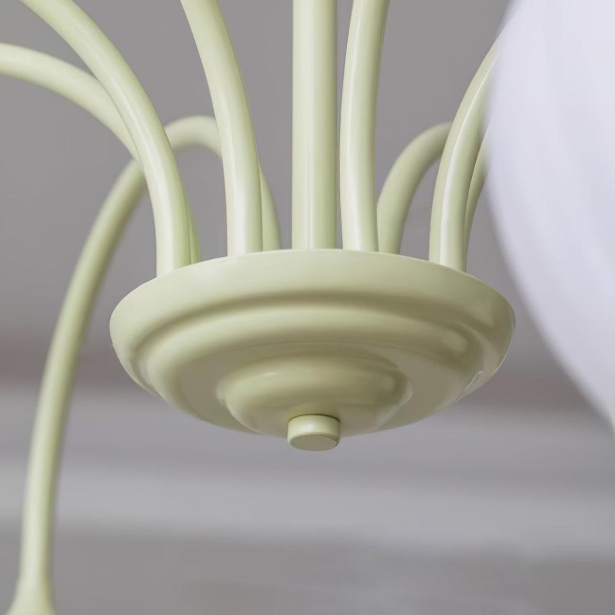 Lustra Lustre Tulipe en Verre Matcha
