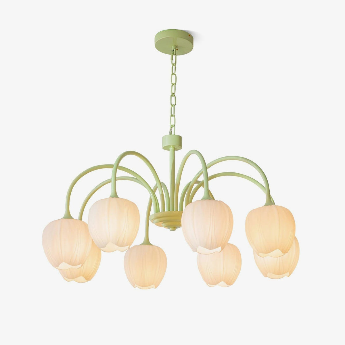 Lustra Lustre Tulipe en Verre Matcha