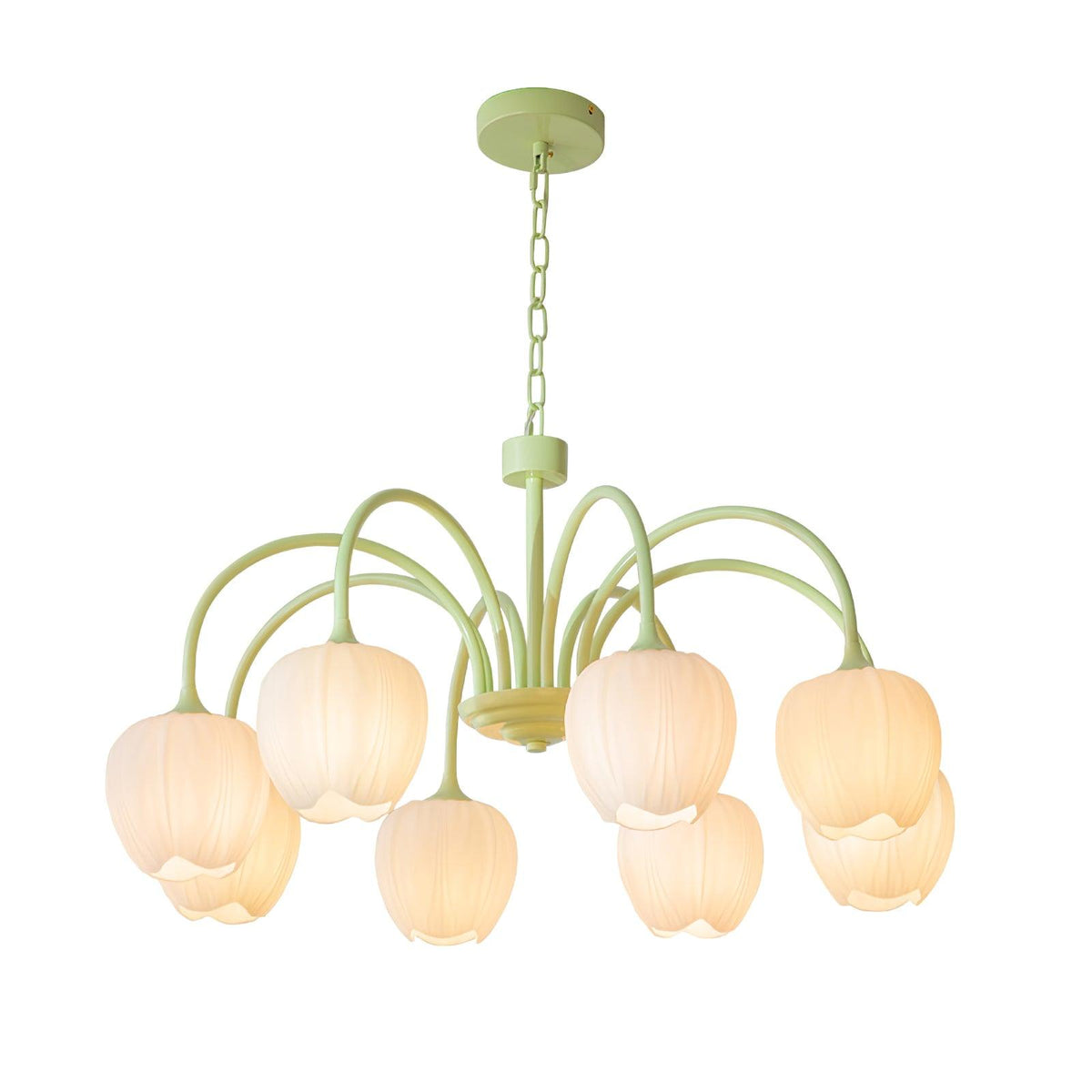 Lustra Lustre Tulipe en Verre Matcha