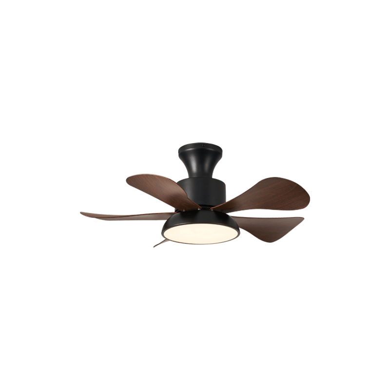 Ventilateur de Plafond Archer